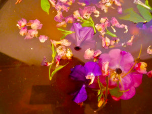 
            
                Load image into Gallery viewer, Bitters  Fresh Herbs of Power Spiritual Bath
            
        